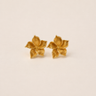 Sunlit Magnolia Studs