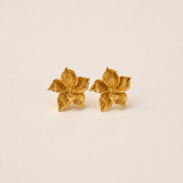 Sunlit Magnolia Studs