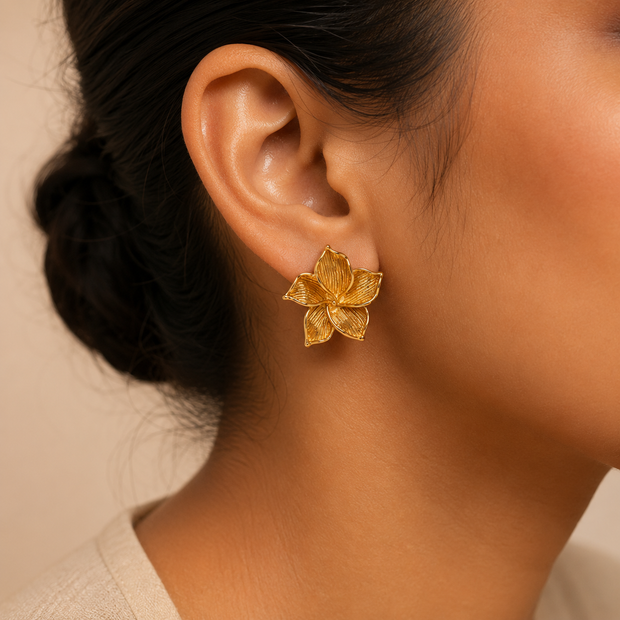 Sunlit Magnolia Studs
